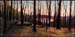 Kinzua Rimrock-unfinished