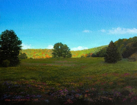 Autumn Wildflowers