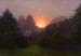 Dawn in the Mist