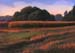 Dry Marsh