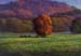 Pumpkinville