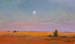 Vineyard Evening