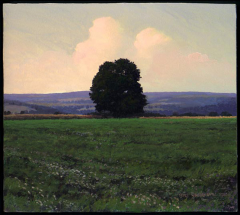 late-summer-shade-tree