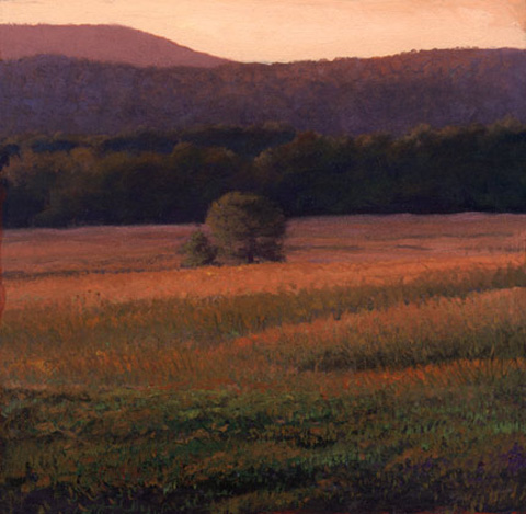 wheatfield-study
