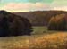 Forgotten Meadow