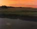 Golden Salt Marsh