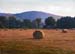 Late Summer Hay Bales