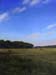 Newbury Salt Marsh
