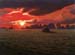 Red Sky