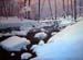 Snow Bridge