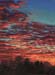 Western NY Sky